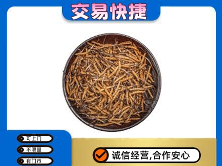 莎车县礼品回收虫草.jpg